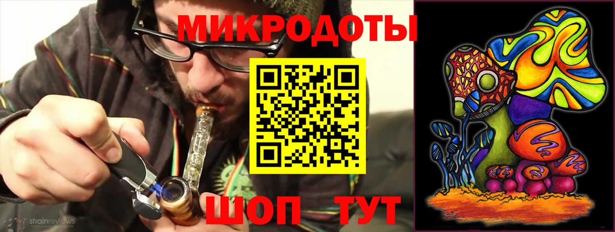 Псилоцибиновые грибы Psilocybe Сланцы